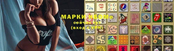 мдпв Горно-Алтайск