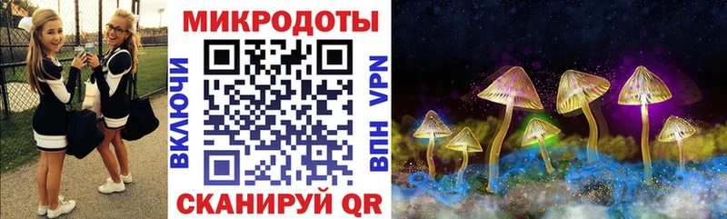 Псилоцибиновые грибы Psilocybe Эртиль